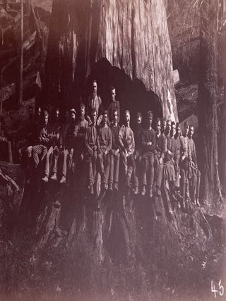 Item #10166 Redwood And Lumbering in California Forests. Edgar Cherry, Charles Goodwin Noyes, Dr....