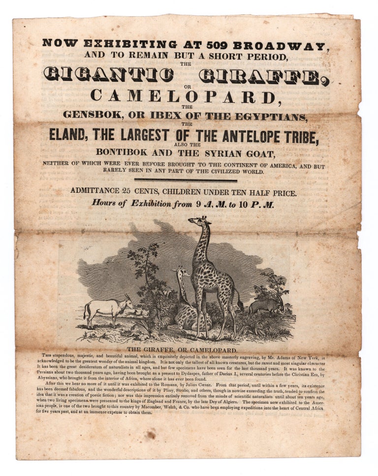 Item #10277 Now Exhibiting at 509 Broadway, and to remain But a Short Period, the Gigantic Giraffe, or Camelopard, the Gensbok, or Ibex of the Egyptians, Eland, the Largest of the Antelope Tribe, Also the Bontibok and the Syrian Goat, Neither of Which Were Ever Before Brought to the Continent of America, and But Rarely Seen in Any Part of the Civilized World. engr Adams, Joseph Alexander?