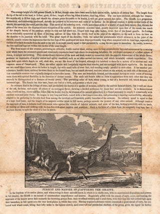 Now Exhibiting at 509 Broadway, and to remain But a Short Period, the Gigantic Giraffe, or Camelopard, the Gensbok, or Ibex of the Egyptians, Eland, the Largest of the Antelope Tribe, Also the Bontibok and the Syrian Goat, Neither of Which Were Ever Before Brought to the Continent of America, and But Rarely Seen in Any Part of the Civilized World.
