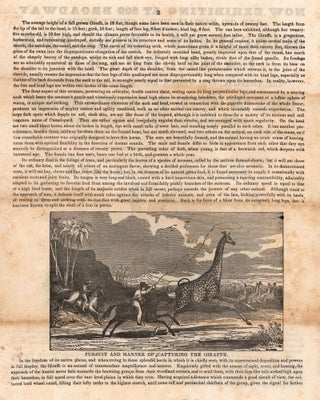 Now Exhibiting at 509 Broadway, and to remain But a Short Period, the Gigantic Giraffe, or Camelopard, the Gensbok, or Ibex of the Egyptians, Eland, the Largest of the Antelope Tribe, Also the Bontibok and the Syrian Goat, Neither of Which Were Ever Before Brought to the Continent of America, and But Rarely Seen in Any Part of the Civilized World.