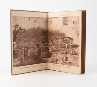 Gullah : Negro Life in the Carolina Sea Islands.