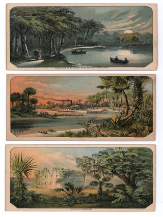 Illustrated Florida.