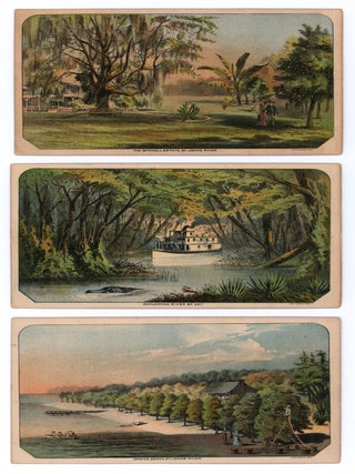 Illustrated Florida.