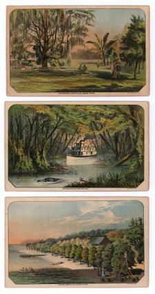 Illustrated Florida.
