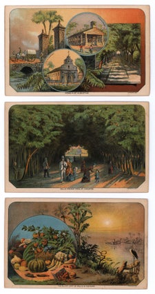 Illustrated Florida.
