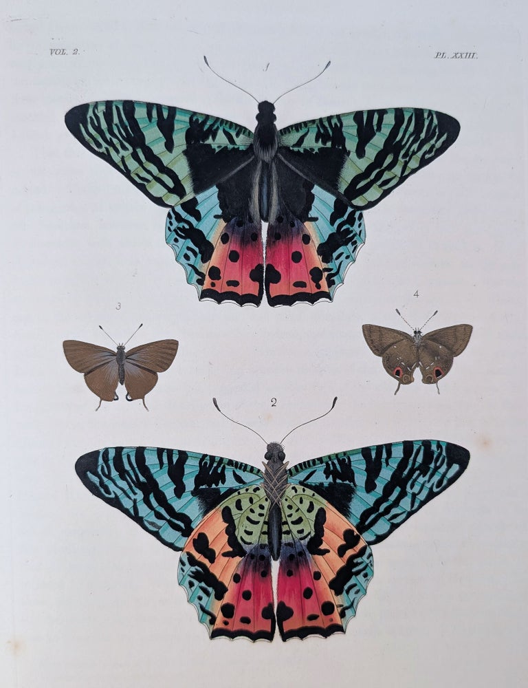 Item #2348 Illustrations of Exotic Entomology, containing upwards of six hundred and fifty figures and descriptions of foreign insects, interspersed with remarks and reflections on their nature and properties. A new edition, brought down to the present state of the science, with the systematic characters of each species, synonyms, indexes, and other additional matter. Dru Drury, J. O. Westwood.