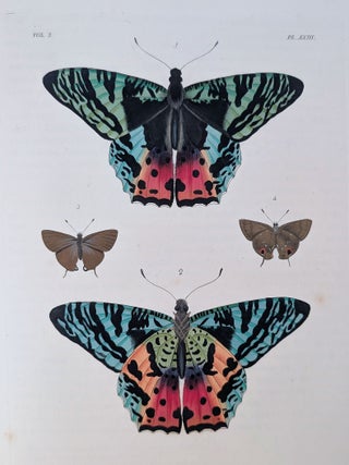 Item #2348 Illustrations of Exotic Entomology, containing upwards of six hundred and fifty...