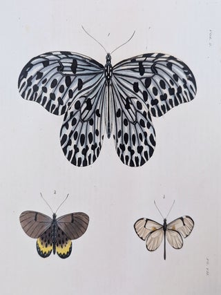 Illustrations of Exotic Entomology, containing upwards of six hundred and fifty figures and descriptions of foreign insects, interspersed with remarks and reflections on their nature and properties. A new edition, brought down to the present state of the science, with the systematic characters of each species, synonyms, indexes, and other additional matter.