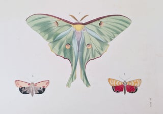 Illustrations of Exotic Entomology, containing upwards of six hundred and fifty figures and descriptions of foreign insects, interspersed with remarks and reflections on their nature and properties. A new edition, brought down to the present state of the science, with the systematic characters of each species, synonyms, indexes, and other additional matter.