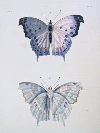 Illustrations of Exotic Entomology, containing upwards of six hundred and fifty figures and descriptions of foreign insects, interspersed with remarks and reflections on their nature and properties. A new edition, brought down to the present state of the science, with the systematic characters of each species, synonyms, indexes, and other additional matter.