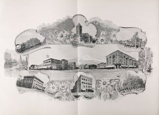 Cripple Creek and Colorado Springs Illustrated. A Review and Panorama of an Unique Gold Field, with Geological Features and achievements of five eventful years, including outlines of numerous companies.