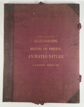 Hand-Colored Illustrations of the Beautiful and Wonderful in Animated Nature, With Explanatory Text.