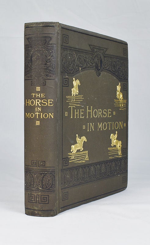 Item #3905 The Horse in Motion. Eadweard Muybridge, J D. B. Stillman.