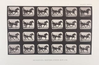 The Horse in Motion.