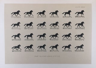 The Horse in Motion.
