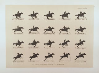 The Horse in Motion.