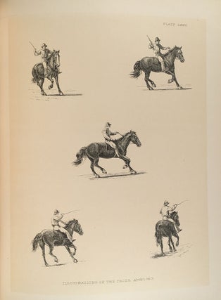 The Horse in Motion.