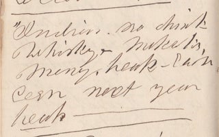 [1858 travel diary of an anonymous Bostonian.]