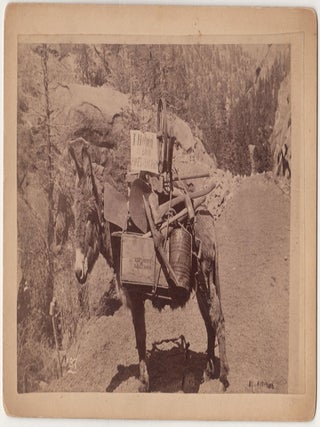 Item #4263 [Pike’s Peak Donkey