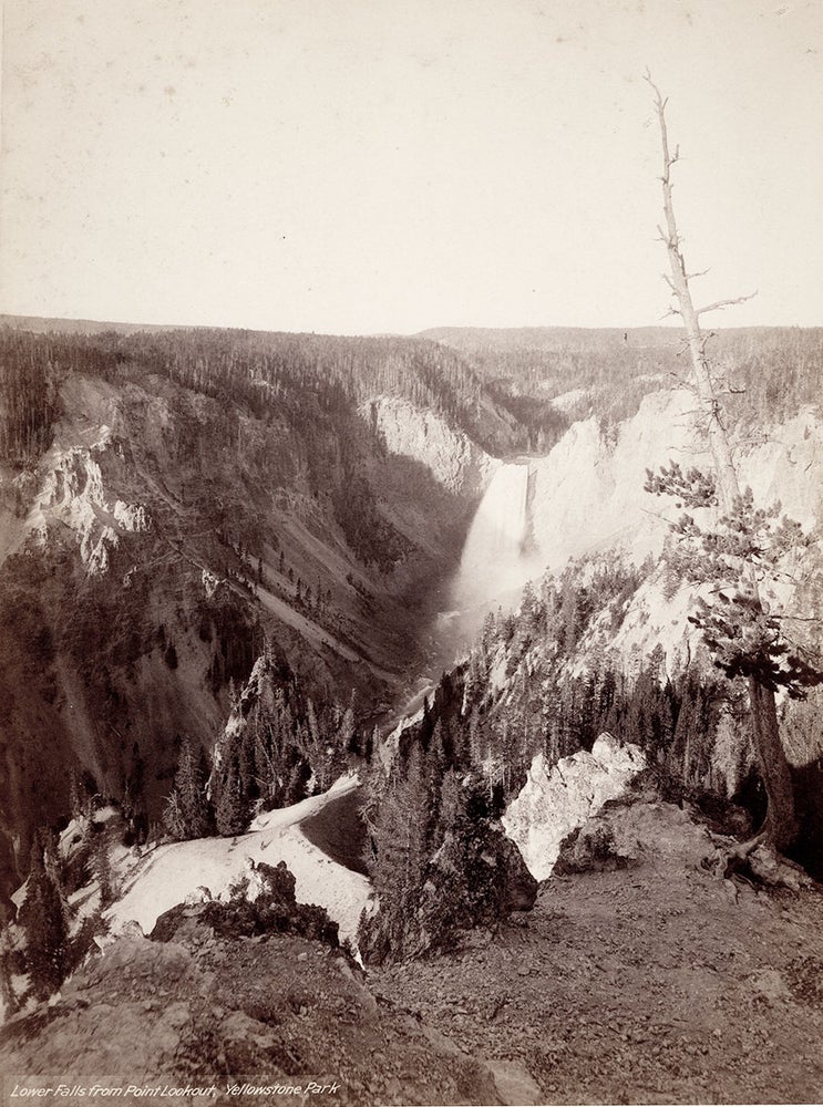 Item #4409 Lower Falls from Point Lookout, Yellowstone Park. John Karl Hillers, photographer.