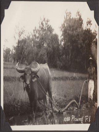 [U.S. 31st Infantry Regiment in the Philippines and Shanghai.]
