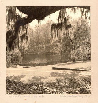 [An archive of artistic photographs of plantation homes and other southern subjects].