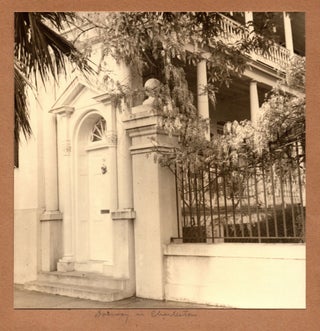 [An archive of artistic photographs of plantation homes and other southern subjects].