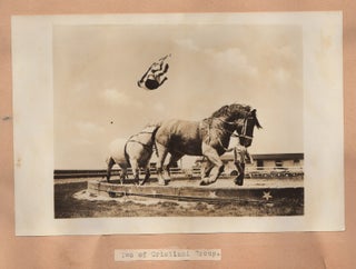 [A mammoth album of circus photographs].