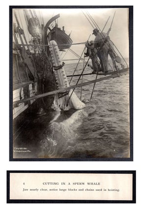 Cutting In A Whale : A Series of Twenty-Five Photographs. Taken on Board Bark California.