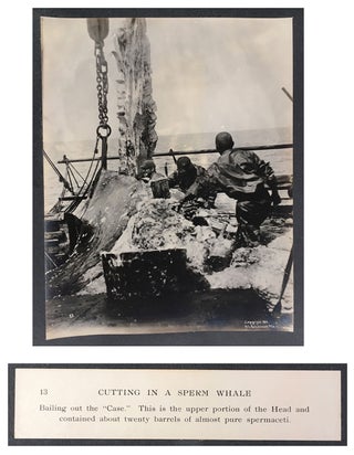Cutting In A Whale : A Series of Twenty-Five Photographs. Taken on Board Bark California.