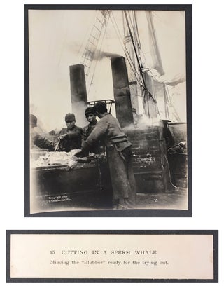 Cutting In A Whale : A Series of Twenty-Five Photographs. Taken on Board Bark California.