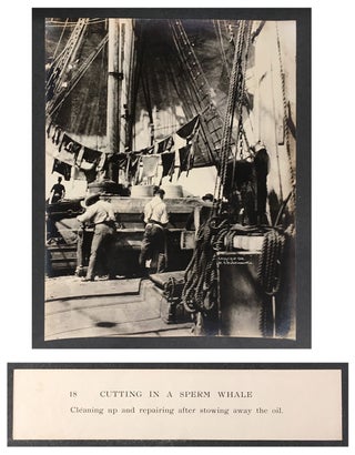 Cutting In A Whale : A Series of Twenty-Five Photographs. Taken on Board Bark California.
