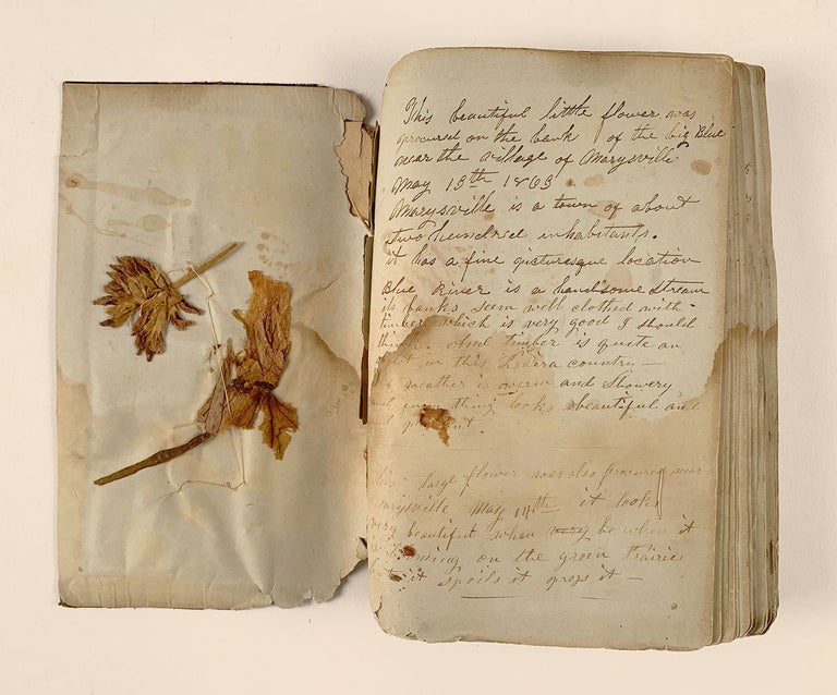 Item #5427 [Manuscript overland diary/herbarium]. Lucy Nettleton.