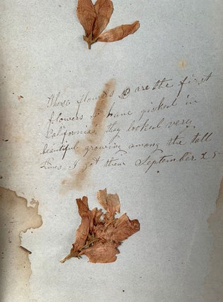 [Manuscript overland diary/herbarium].