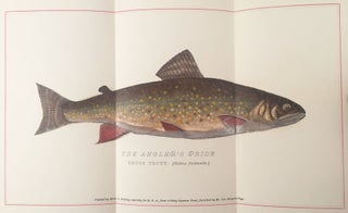 Brook Trout Fishing : An Account of a Trip of the Oquossoc Angling Association to Northern Maine, in June, 1869.
