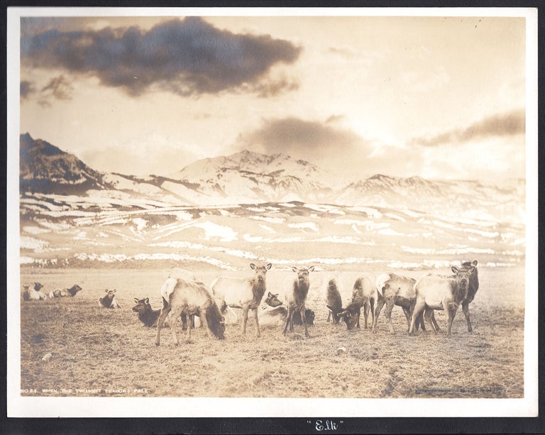 Item #5845 [Livingston, Montana and Yellowstone Photo Album]. Joseph F. Scherieble, W. S. Berry, photog.