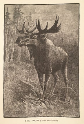 Woods and Lakes of Maine. A trip from Moosehead Lake to New Brunswick in a Birch-Bark Canoe. To which are added some Indian place names and their meanings now first published by Lucius L. Hubbard. New and Original Illustrations by Will. L. Taylor.