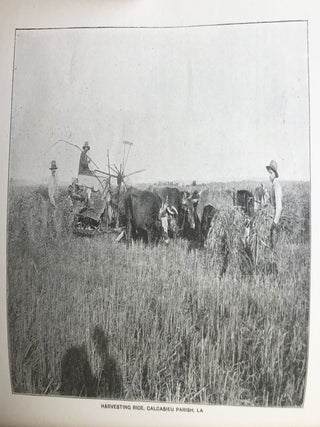 Southwest Louisiana on the Line of the Southern Pacific Company.