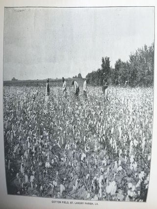Southwest Louisiana on the Line of the Southern Pacific Company.