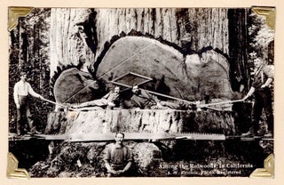 Item #7378 [Album of Northern California lumbering real photo postcards.]. A. W. Ericson, J. H....