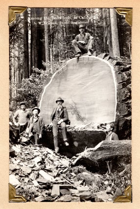 [Album of Northern California lumbering real photo postcards.]
