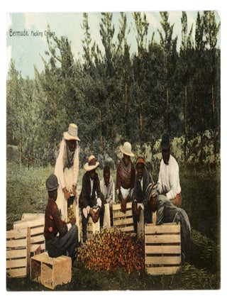 “Packing Onions.”