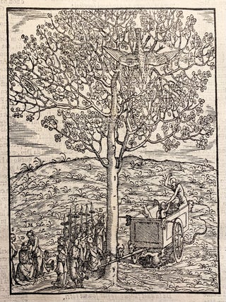 Dante Con L'Espositioni Di Christoforo Landino, Et D'Alessandro Vellvtello. Sopra La Sua Comedia Dell'Inferno, Del Purgatorio, & Del Paradiso. Con Tauole, Argomenti, & Allegorie, & Riformato, Riueduto, & Ridotto Alla Sua Vera Lettura, Per Francesco Sansovino Fiorentino.