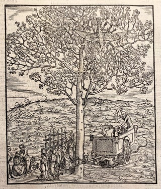 Dante Con L'Espositioni Di Christoforo Landino, Et D'Alessandro Vellvtello. Sopra La Sua Comedia Dell'Inferno, Del Purgatorio, & Del Paradiso. Con Tauole, Argomenti, & Allegorie, & Riformato, Riueduto, & Ridotto Alla Sua Vera Lettura, Per Francesco Sansovino Fiorentino.