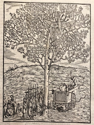 Dante Con L'Espositioni Di Christoforo Landino, Et D'Alessandro Vellvtello. Sopra La Sua Comedia Dell'Inferno, Del Purgatorio, & Del Paradiso. Con Tauole, Argomenti, & Allegorie, & Riformato, Riueduto, & Ridotto Alla Sua Vera Lettura, Per Francesco Sansovino Fiorentino.