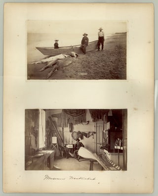Set of four Nantucket photos, including a museum interior, sharks on the beach, Brant Point Light, and Nantucket Harbor.
