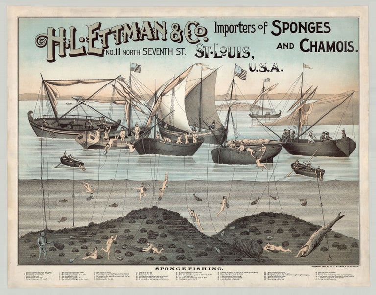 Item #7814 H. L. Ettman & Co. Importers of Sponges and Chamois.