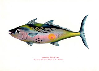 Item #8220 Hawaiian Fishes. James Steiner