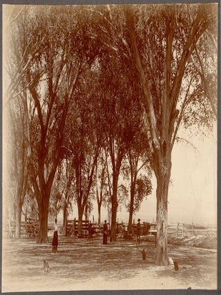 [Archive of photographs of the Oasis Ranch in Mono County, California and vicinity, with related family photos.] &nbsp;