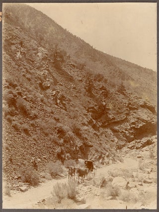 [Archive of photographs of the Oasis Ranch in Mono County, California and vicinity, with related family photos.] &nbsp;
